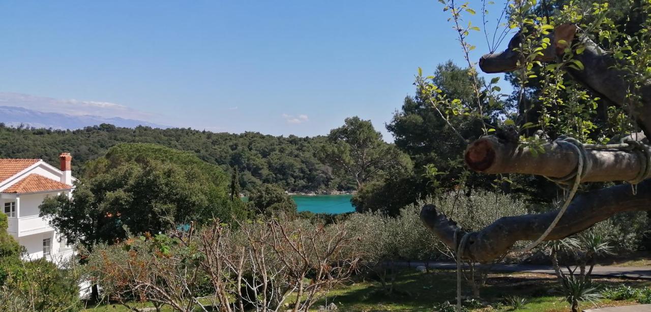 Milijana Apartments Rab Раб Экстерьер фото