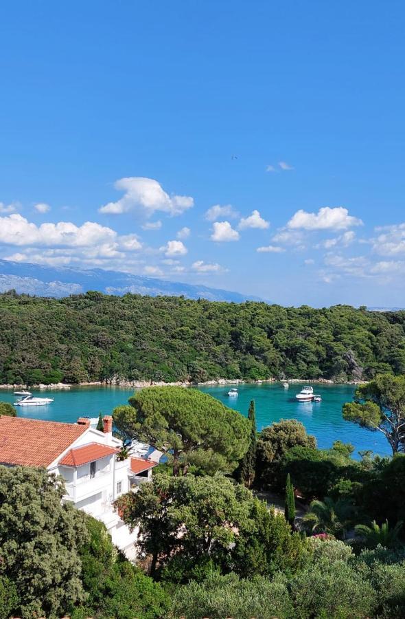 Milijana Apartments Rab Раб Номер фото